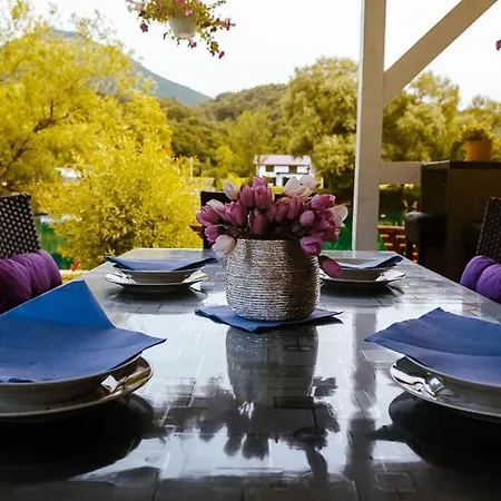 Villa Deluxe Ella Bihac